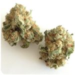 Шишки "White Widow"  (Белая вдова)  Гидропоника -  Бошка VHQ в Всеволожске