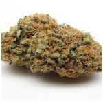 Шишки AK47 (Гидропоника, Бошка) VHQ в Всеволожске Шишки AK47 (Гидропоника, Бошка) VHQ в Всеволожске